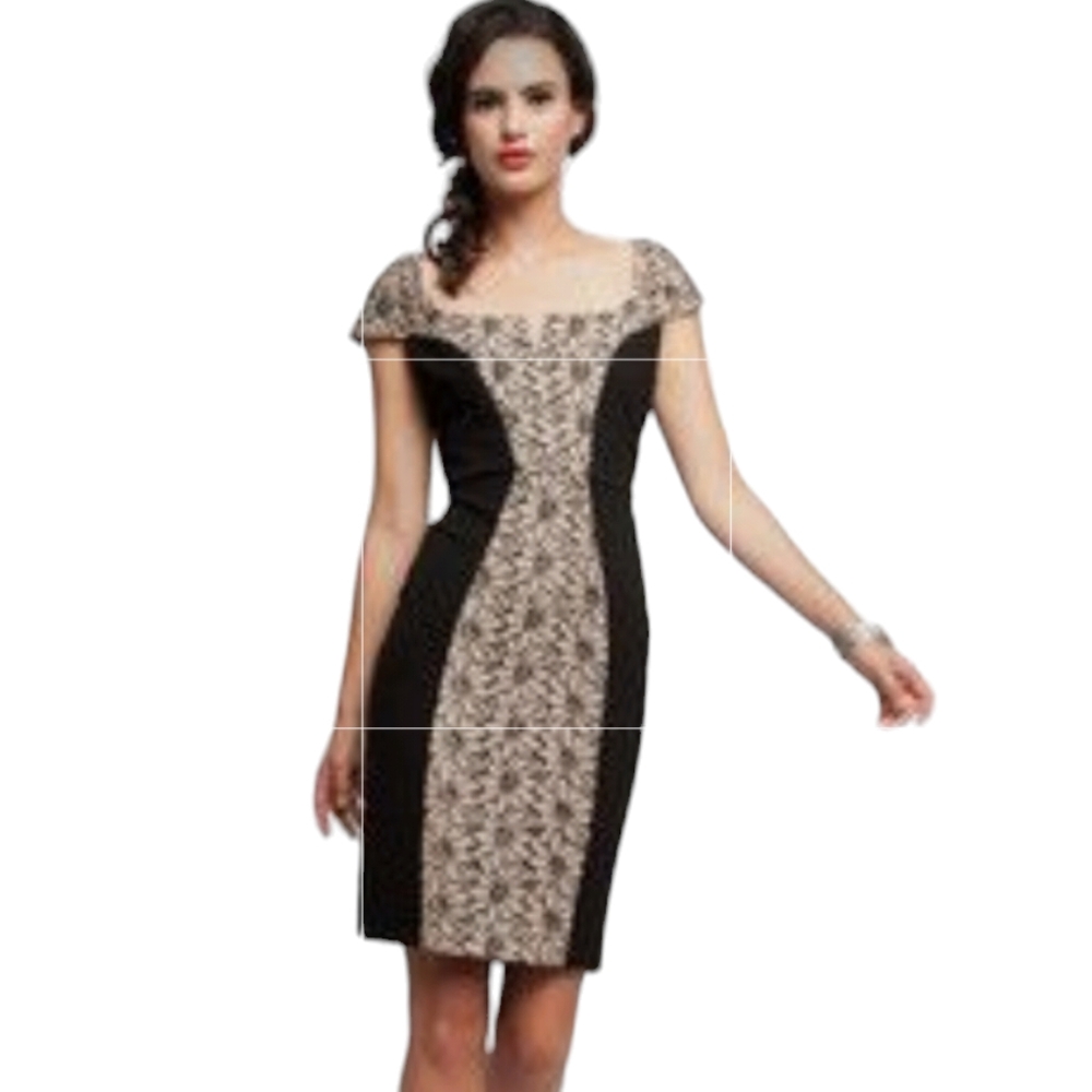 Eva Franco Anthropologie Black Lace Pannel Cap Sleeved Dress
